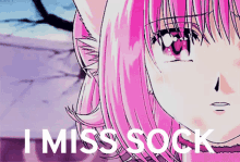 I Miss Sock GIF - I Miss Sock GIFs