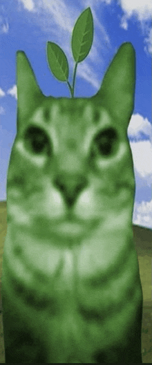 Grass Cat GIF - Grass Cat GIFs