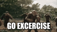 a group of chimpanzees are running in the woods and they say go excercise