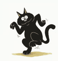 Black Cat Dancing GIF
