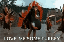 Turkey Thanksgiving GIF - Turkey Thanksgiving Addams Family GIFs