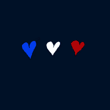 Pray For France GIF