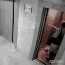Help Elevator GIF - Help Elevator Puppy GIFs
