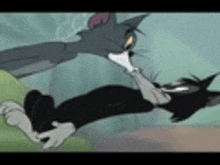 a cartoon of tom and jerry fighting each other
