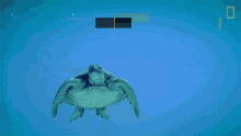 swimming turtle nat geo wild underwater sea turtle in the deep ocean just keep swimming