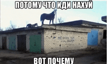 a horse standing on top of a brick building with a sign on the wall that says " mycopik tam "