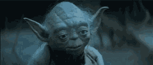Until Youre A Father Yoda GIF - Until Youre A Father Yoda GIFs
