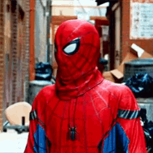 spiderman suit on