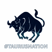 Taurus Nation Taurus The Bull GIF - Taurus Nation Taurus The Bull Zodiac Sign GIFs
