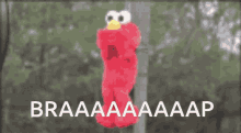 Elmo Braap GIF - Elmo Braap Fart GIFs