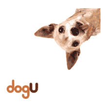 huella perrito patita dog u logo for dog cute