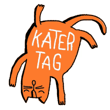kstr kochstrasse german statement cat