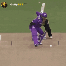Gullybet Cricket GIF - Gullybet Cricket Crickets GIFs