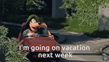 goofy is driving a car with the words i 'm going on vacation next week below him