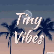 Tiny Vibes Tiny GIF - Tiny Vibes Tiny Vibes GIFs