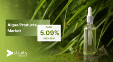 Algae Products Market Size GIF