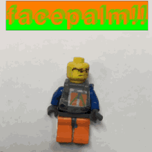 Facepalm Face GIF - Facepalm Face Palm GIFs