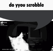 Do You Scrobble GIF