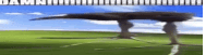 a giant bird is flying over a field with a blue sky in the background .