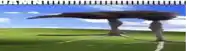a giant bird is flying over a field with a blue sky in the background .