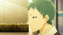 a close up of a person 's head with green hair