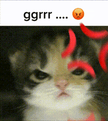 a picture of a cat with a smiley face and the word ggrrr