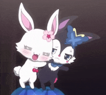 a black and white rabbit with a butterfly on its head