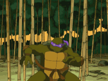 Ninja Turtles Tmnt2003 GIF - Ninja Turtles Tmnt2003 Donatello GIFs