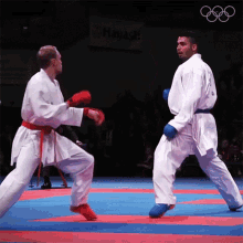 High Kick Karate GIF - High Kick Karate Karateka GIFs