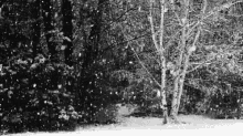 It'S Snowing GIF