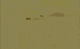 a cartoon character with a mohawk is standing in the sand