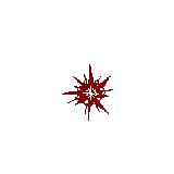 a red star with a cross in the center