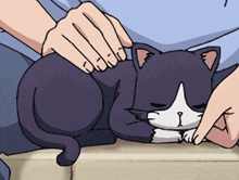a person petting a black and white cat with a sad face