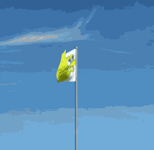 a flag with a picture of spongebob on it flies in the wind