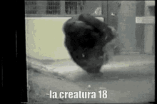la creatura la creatura18