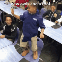 Owls And A Fool GIF