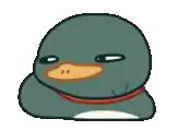 a duck with big eyes and a red scarf around its neck