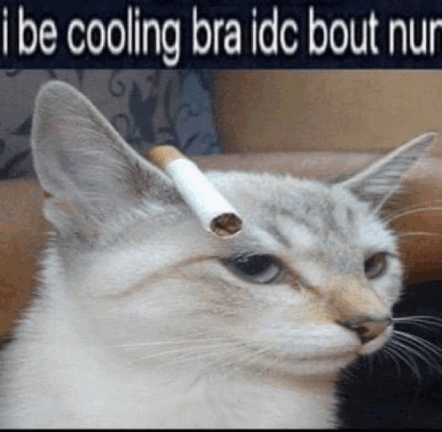 i be cooling bra idc bout nun : r/teenagers