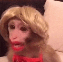 Monkey Lip Stick Wig GIF