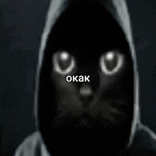 a black cat wearing a hooded jacket with the word okak on the bottom