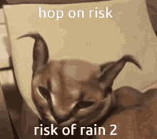 Risk Of Rain2 Hop On Risk GIF - Risk Of Rain2 Risk Of Rain Hop On Risk GIFs