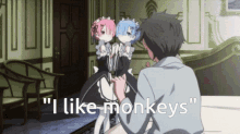 Monkeymoments Rezero GIF - Monkeymoments Rezero Cord GIFs