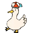 Duckjam Sticker - Duckjam Duck Stickers