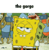 a cartoon of spongebob standing in front of a group of cartoon characters with the caption " the gorge "
