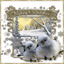 Merry Christmas Joyeux Noel GIF - Merry Christmas Joyeux Noel Birds GIFs