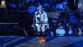 a man in a cowboy hat walks into a wrestling ring with a revolution sign behind him