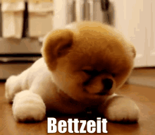Süßer Hund Ist Müde GIF - Müde Schlafen Bettzeit GIFs