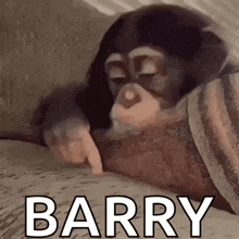 a chimpanzee is laying on a bed and pointing at something .