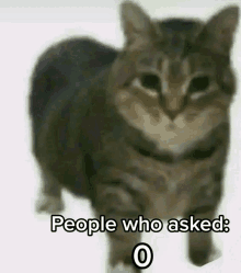 People Who Asked Who Asked Meme GIF - People Who Asked Who Asked Who Asked Meme GIFs