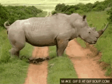 Caga GIF - Rhino Rhinocerus Poop GIFs